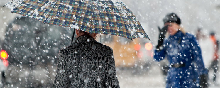  ��������� ������� ���� ����� ������� ���� 