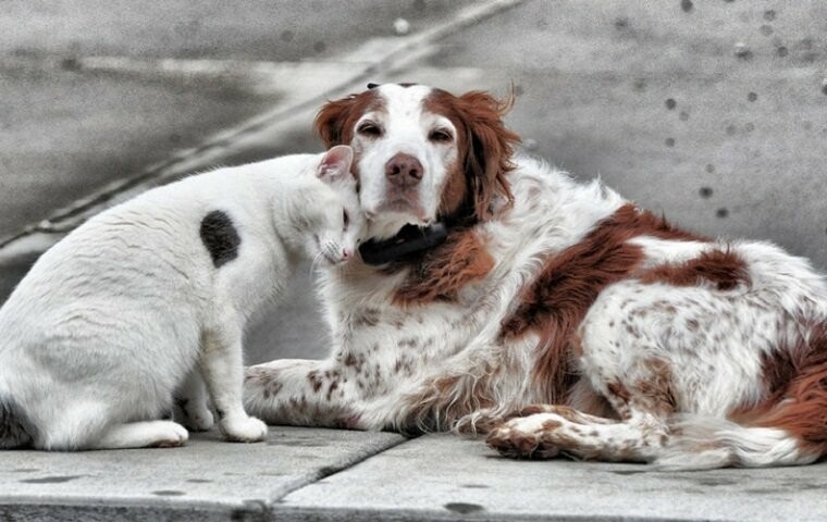  ����� ������ �������� ����� ������� 2020 