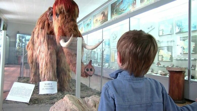  ��� �������� ������ �������� ����� ������� �������� ��������� 