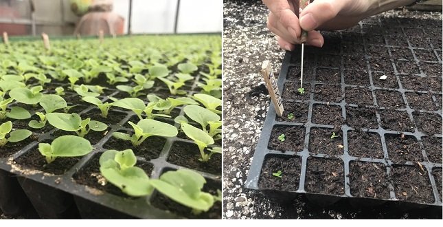  ����������� ��������� ������������ ������ ������������ 