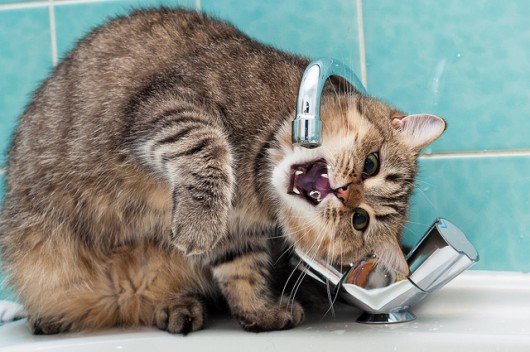  ����� ����� �������� ���� ������ 