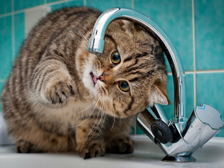  ����� �������� ���� �������� ������ ������ 