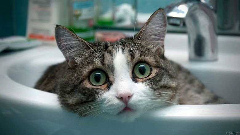  ����� ����� �������� ���� ������ 