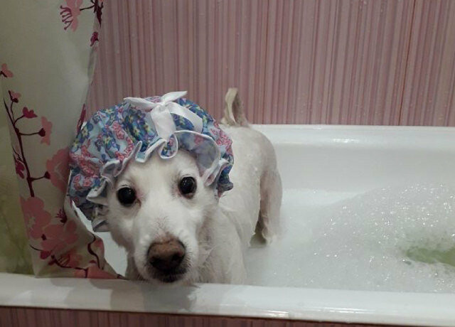  ����� ����� �������� ���� ������ 