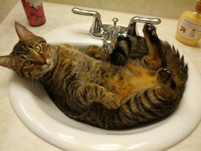  ����� ���� �������� ���� ������ 