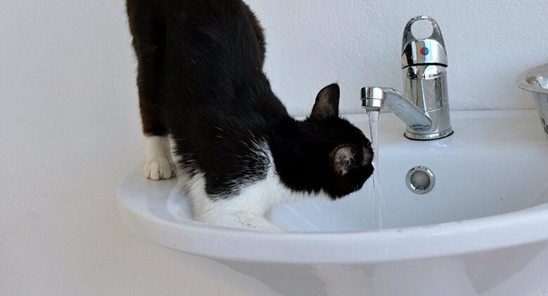  ����� �������� ���� ����� ������ 