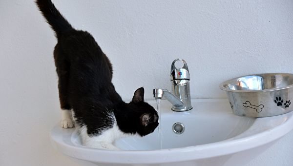  ���������� ���� ����� �������� �������� ��������� ������ ������ 