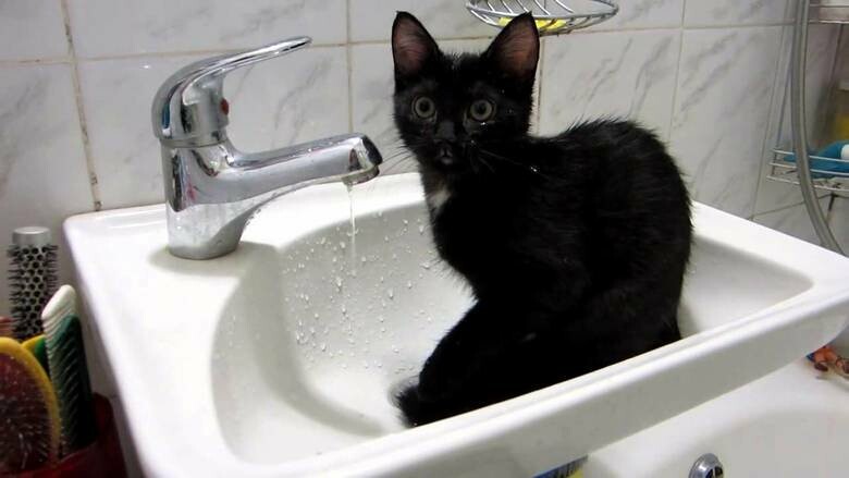  ���������� ���� ����� ��������� �������� ��������� ������ ������ 