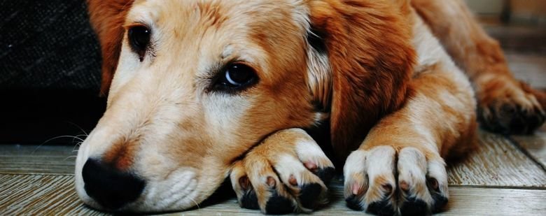  ������ �������� �������� ������������� ������ ������ �������� 