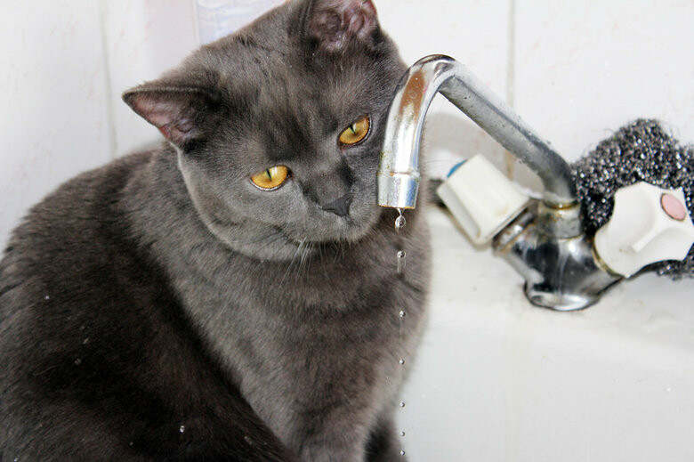  ����� ���� ������ 