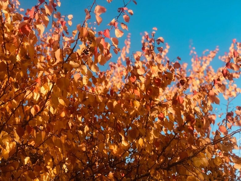  ����� ���� ����� ���������� ��������� ������������� ������ 