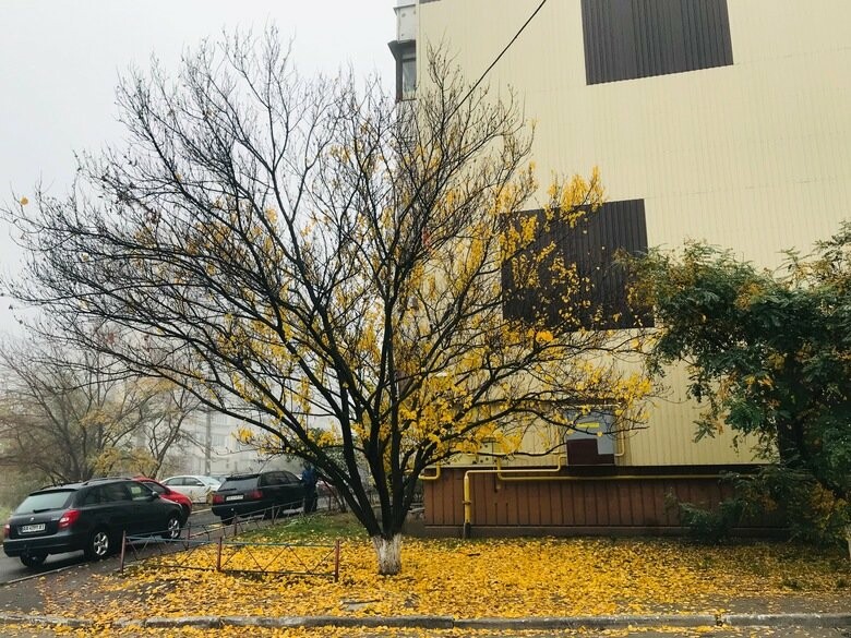  ����� �������� ������� ����������� ������� ������� 