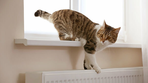  ������������ ����� ����� ������ ������ ���� ������� ������� 