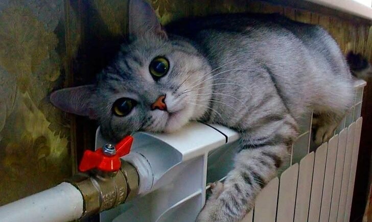  ����� ��������� ������������ ����� 