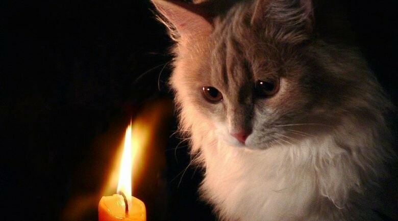  ������������� ����� ������� ������ 