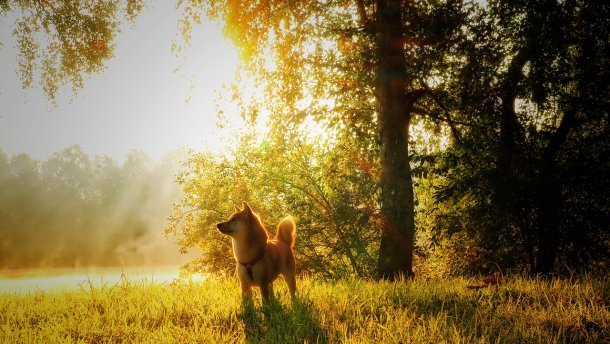  ������ ����� ������� ����� ����� ���������� 