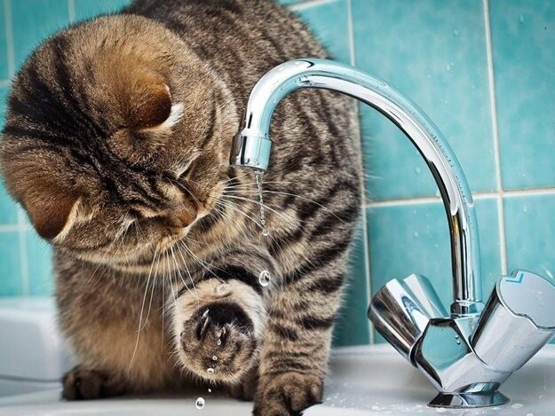  ����� ����� �������� ���� ������ ������� 