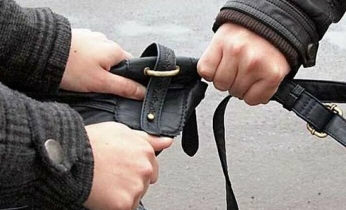  ����� ������������� ������� �������� ������� �������� ���������� 