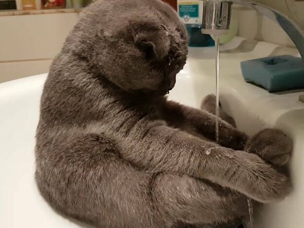  ���� ������ ����� ������� �������� ���� ������ ������� 