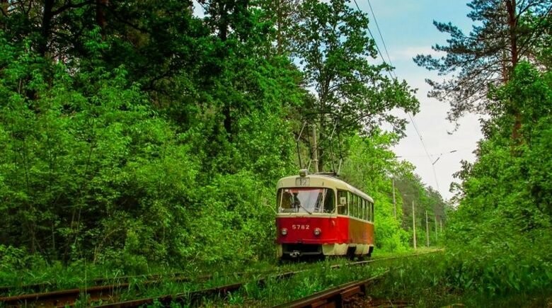  ����� ������� ������� �������� ������ 