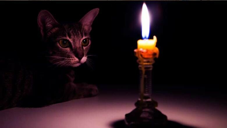  ����� ������ ����� �������� ������������� ����� ������ 