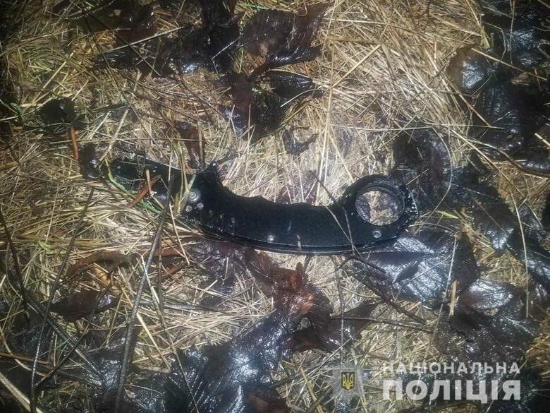  �������� 22-������ ������ ����� ��������� ����������� 