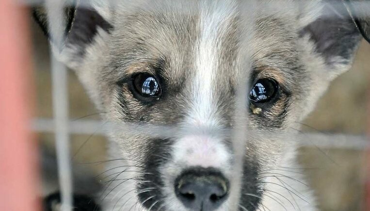  ����� ������ ������� ���� ������ 