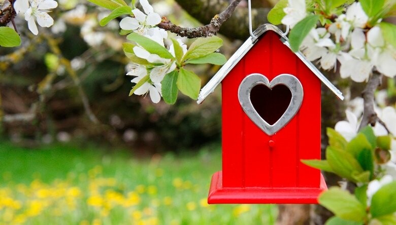  ����� ������������� ������������� ������ ������� 