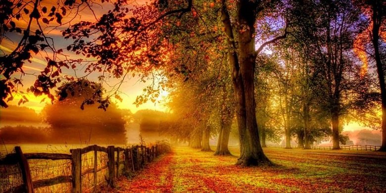  ������� ��������� ��������� �������� 