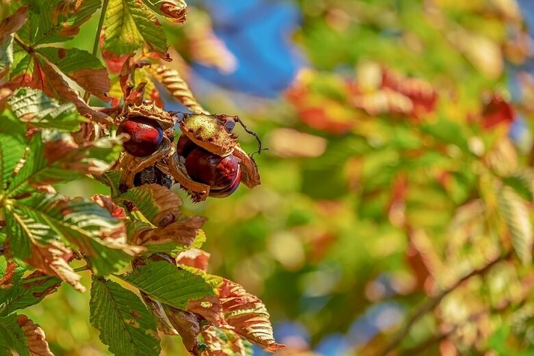  ������ ����� ������� 7-13 �������� 