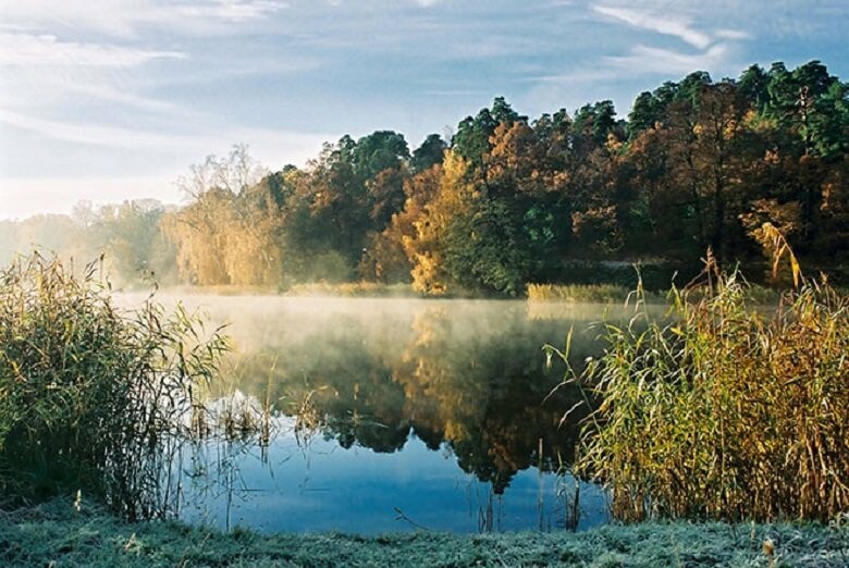  ������ ����� ������� 14-20 �������� 