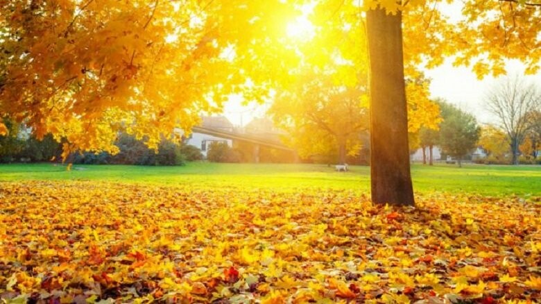  ������ ����� �������� ������� ��������� 