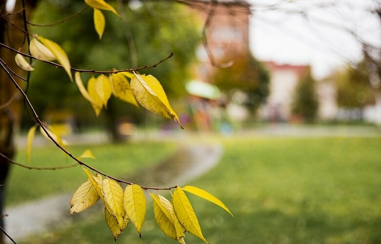  ������ ����� ������� 5-11 ������� 