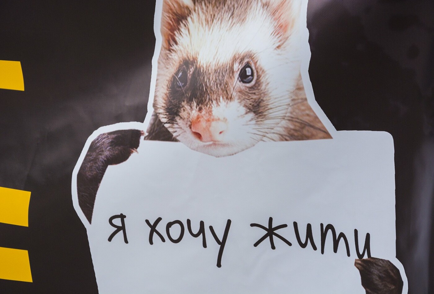  ���� �������� �������� ����� ��������� ����� ������ ������� 