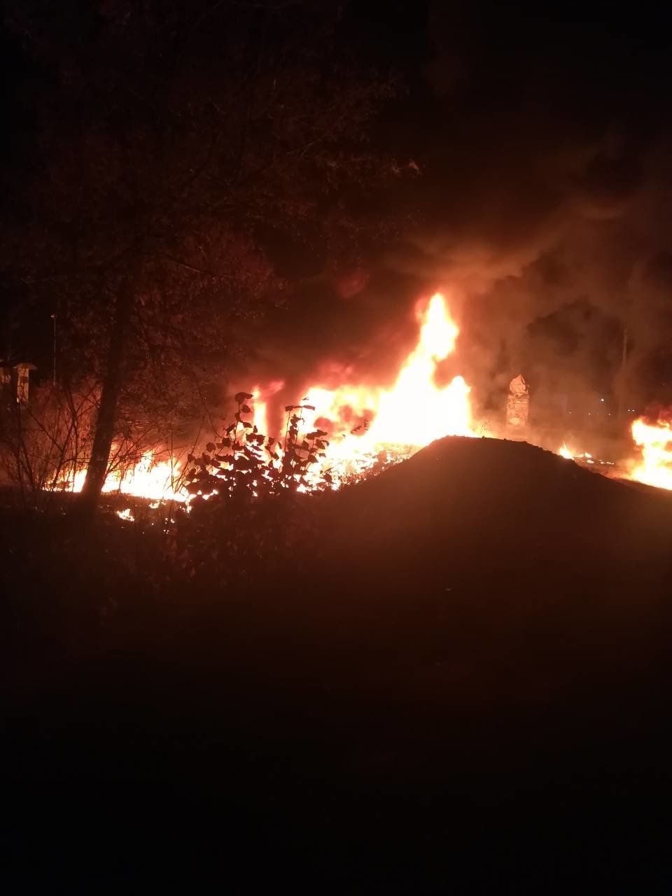  ���� ��� ��� ��� 