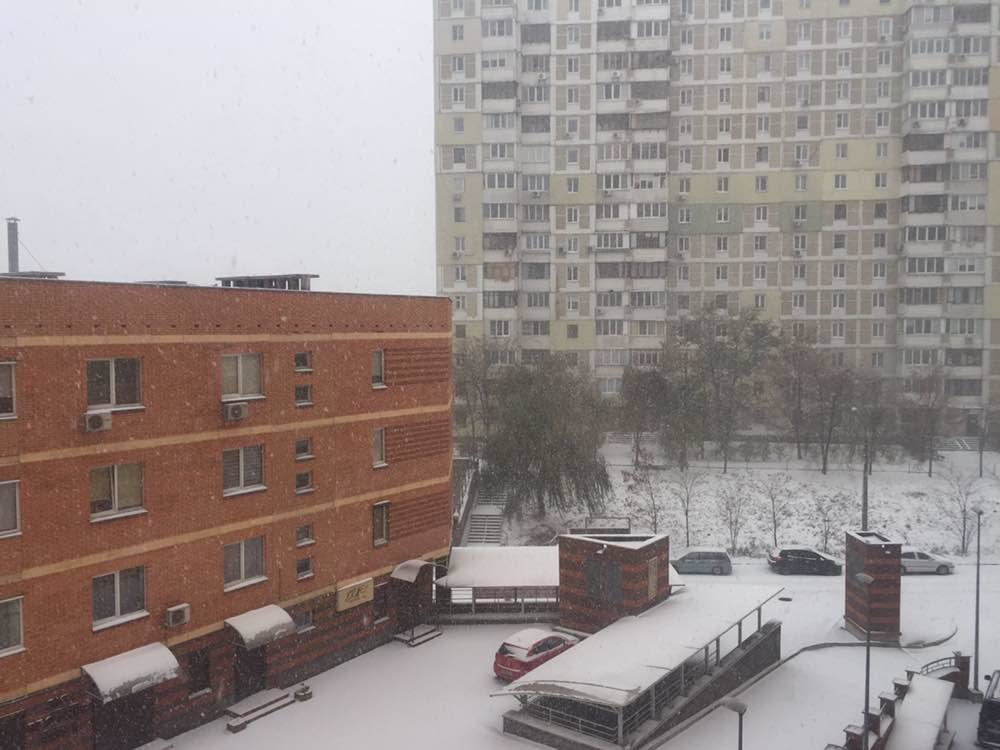  ����� ����� ���� ���� 