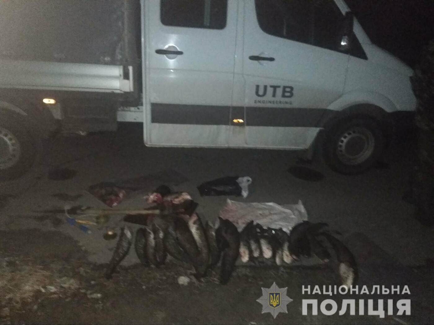  ���� ������������� ��� ��������� ����������� 