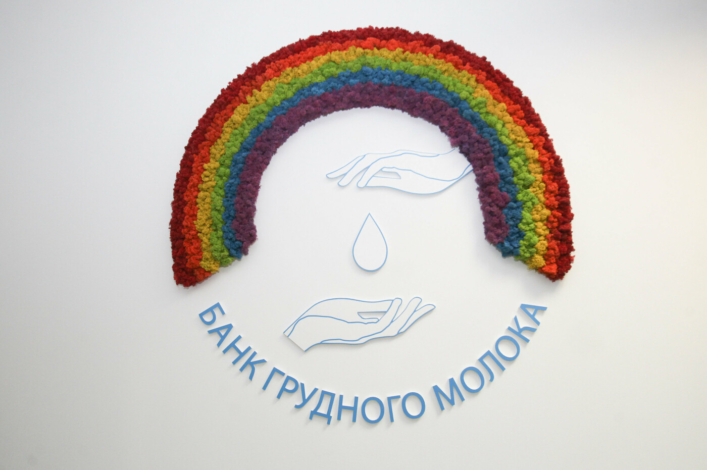  ����� ������� ������� ���� �������� ������ 