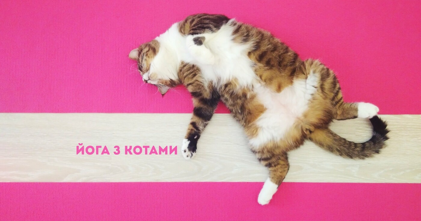  ����� �������� ����� ��� ������� 