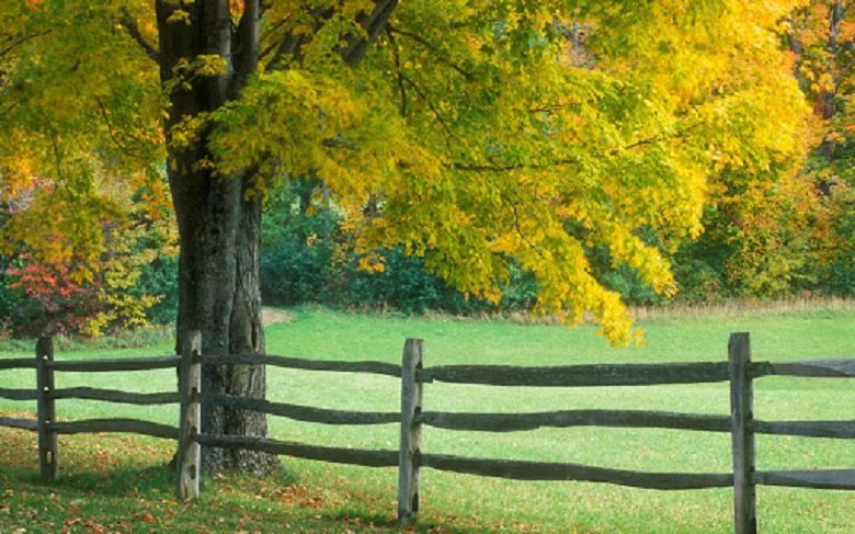  ������ ����� ������� �������� 