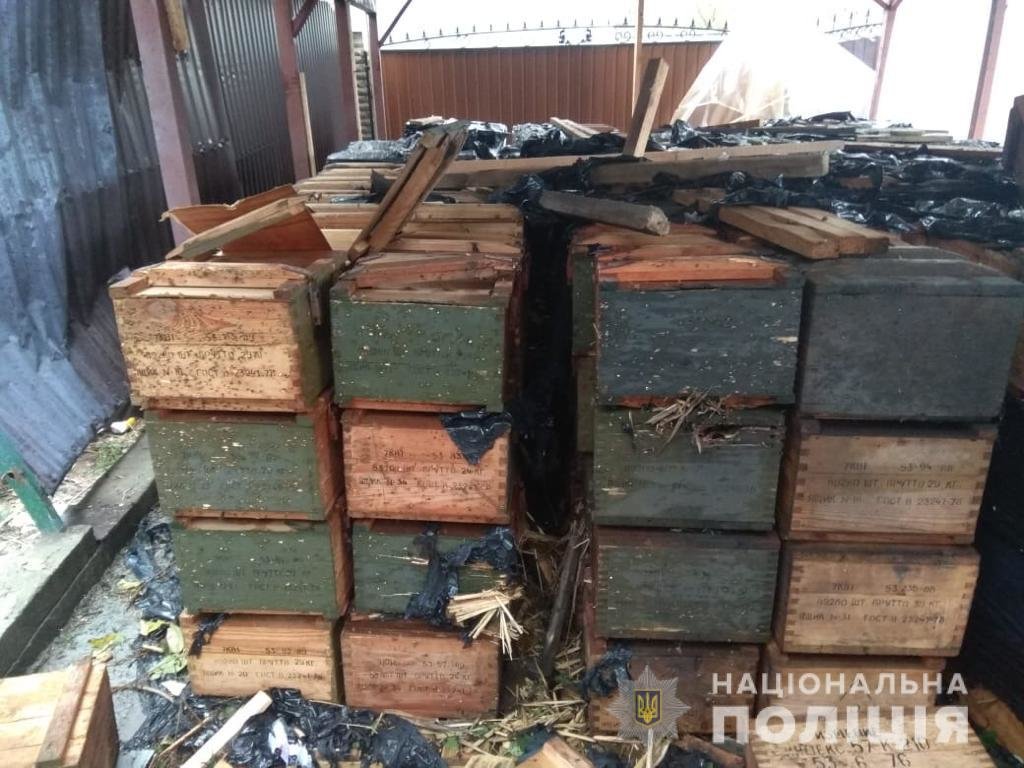  �������� ������� ���������� ������ ���� ���������� ����������� ����� 