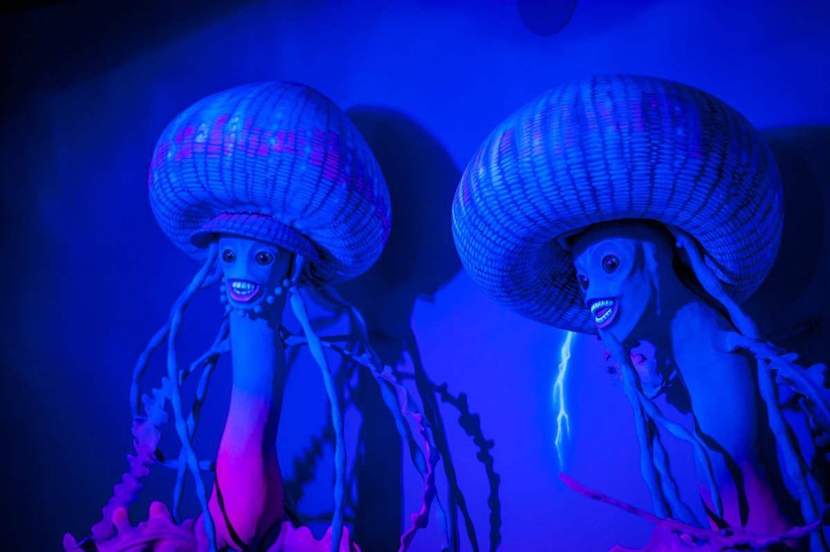  ����� ����� ����� ��������� ���������� ���� ���� 