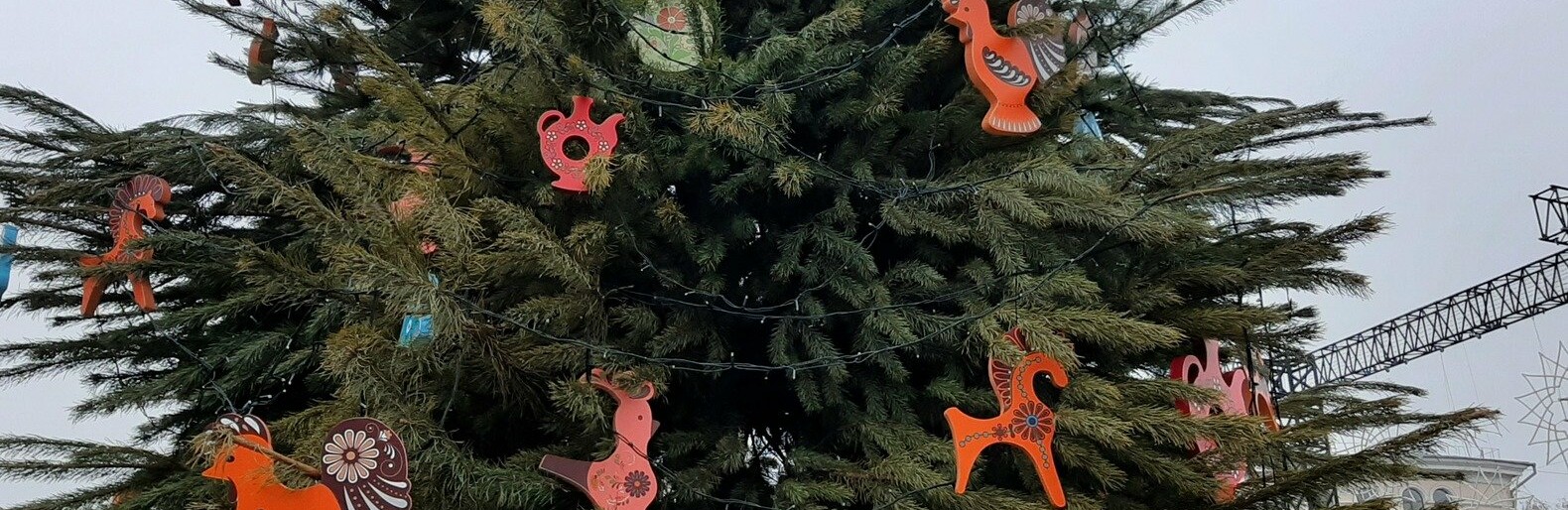  ������ ����� ���������� ���������� ���� �������� ���� 