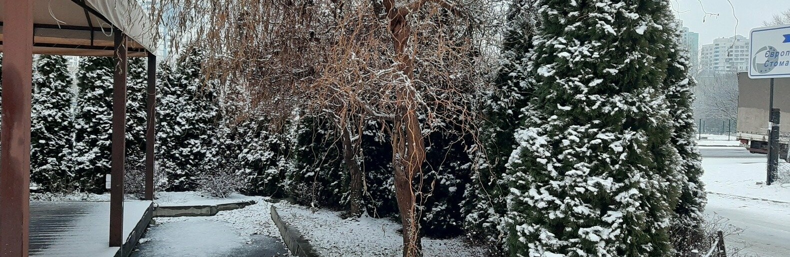  ����� ����� ���� ���� 