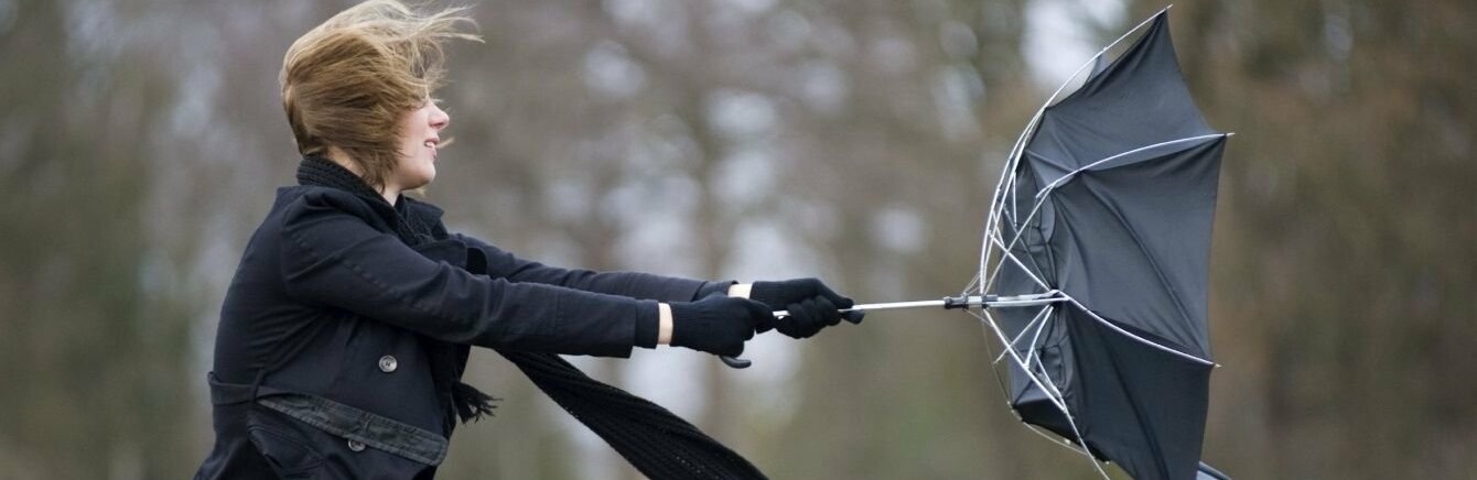  ��������� ������������� ������� ����� ����� ������ 