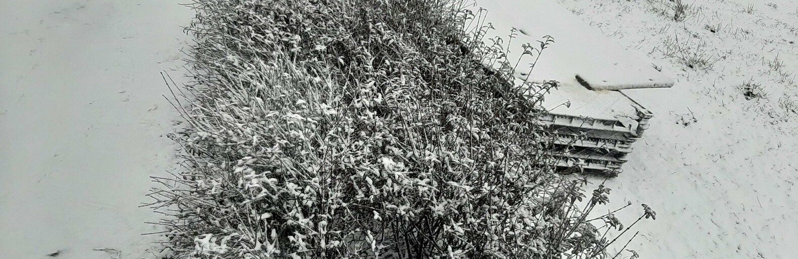  ����� ����� ���� ���� 