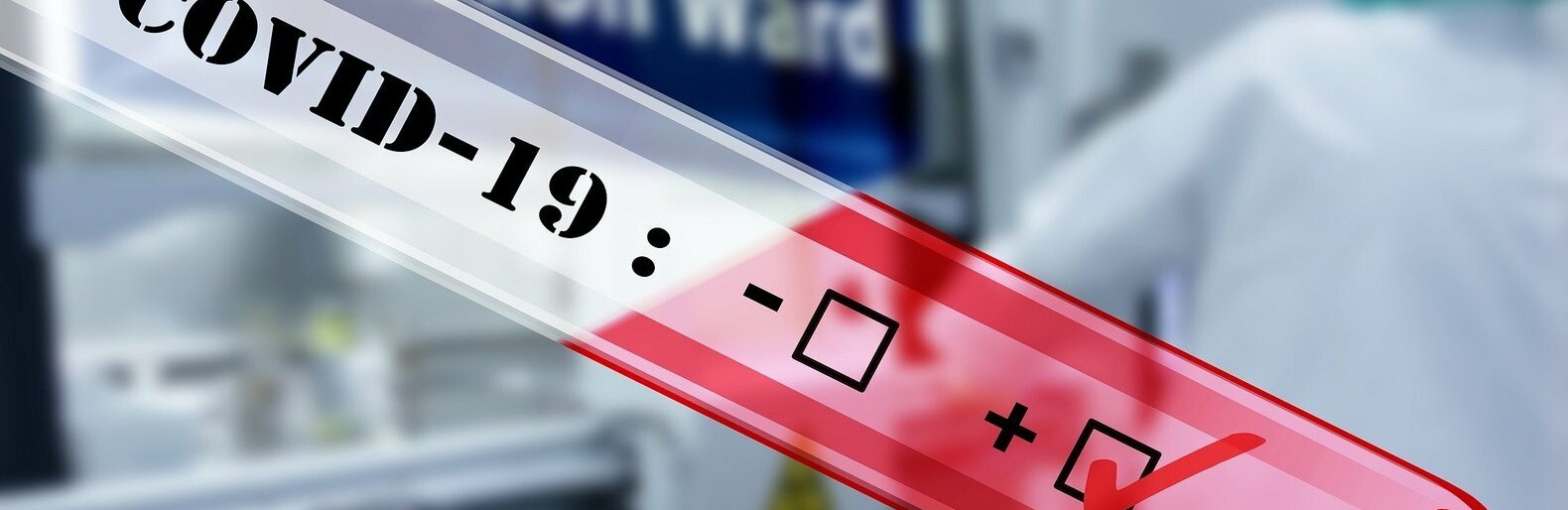  ����������� ����� covid-19 ������ ������� 