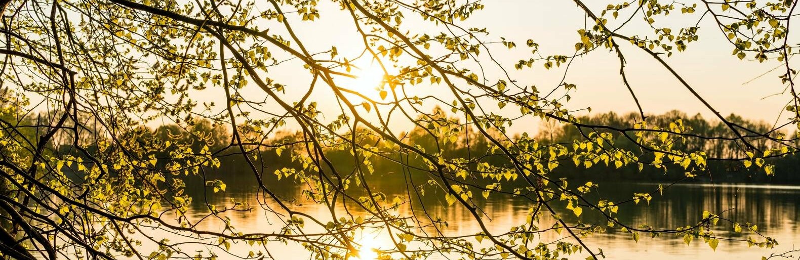  ������� 2020 ����� ����� ������ ��������� 140 