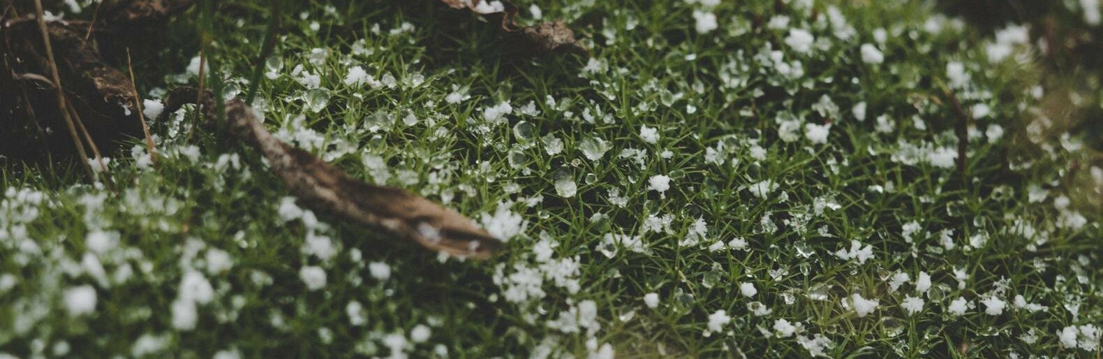  �������� ������� ����� ���� ����� 