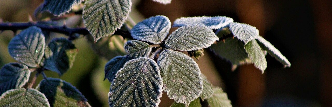  ����� ��������� ��� ��������� ������� ��������� 